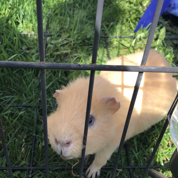 Meet your Posher, Jodi - Picture 1 of 1